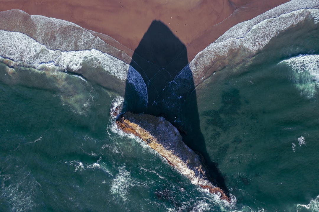 Dít is hoe je als vegetariër een geweldige BBQ zonder vlees organiseert